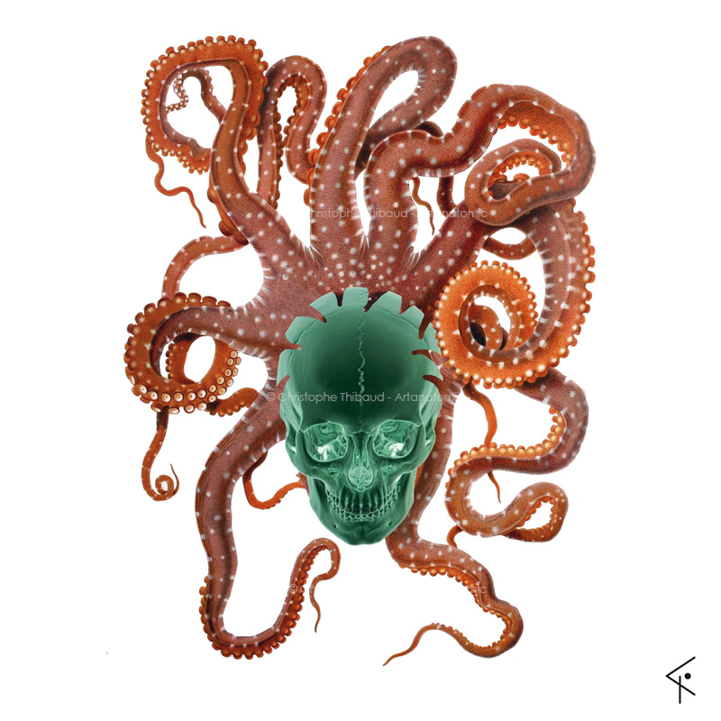 Octopuss 2